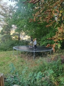 whatsapp bild 2025 11 17 um 11.05.55 51807eec