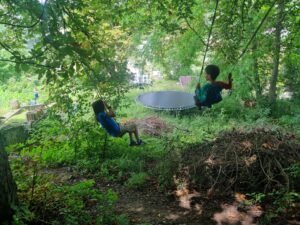 whatsapp bild 2025 11 17 um 11.05.55 6ba7aa74